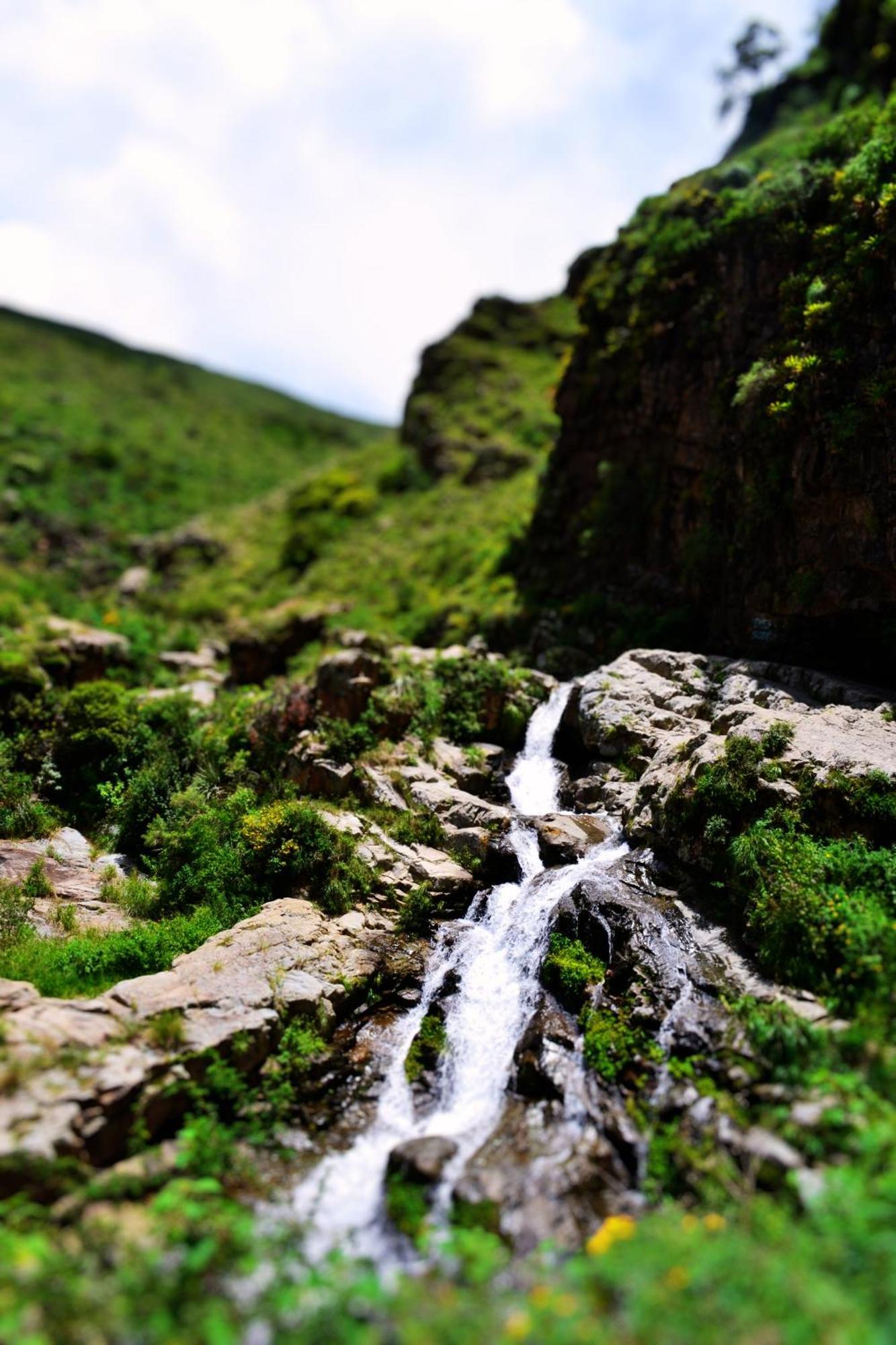 La Poza Del Pato Hotel Tarija Buitenkant foto